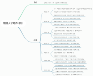 班组人才培养计划