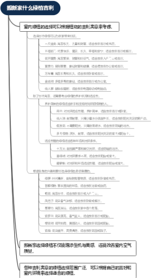 搬新家什么绿植吉利