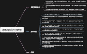 北京语言大学王牌专业