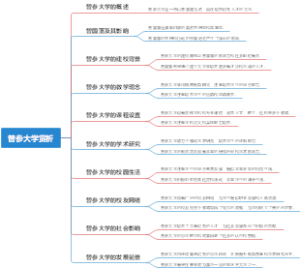 曾参大学赏析