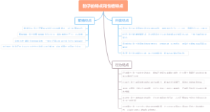 豹子的特点和性格特点