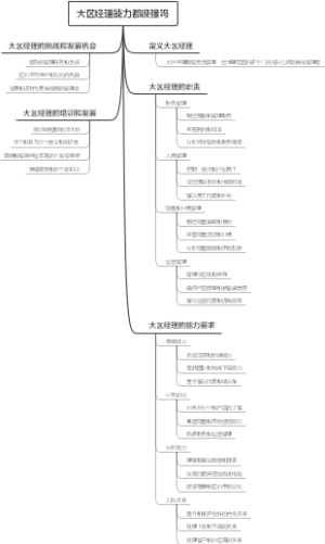 大区经理能力都很强吗