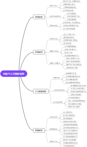 大四个人计划和目标