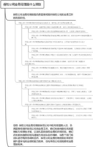 保险公司业务经理是什么级别