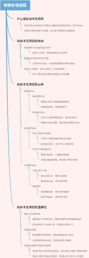 非资本性项目