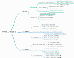 高中生个人计划与目标