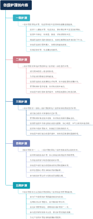 各级护理的内容