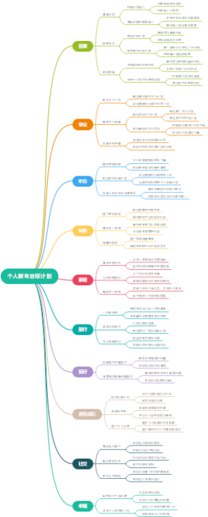 个人新年目标计划