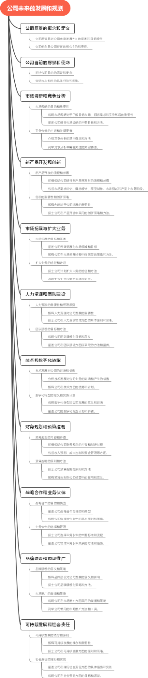公司未来的发展和规划