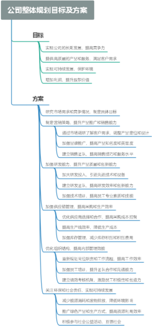 公司整体规划目标及方案