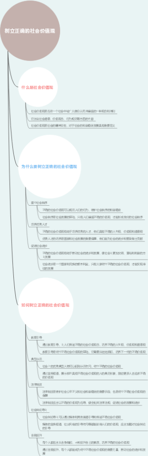 树立正确的社会价值观
