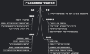 产品生命周期的四个阶段的特点