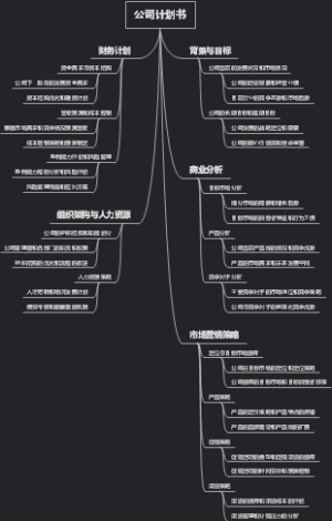 公司计划书