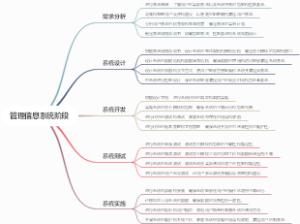 管理信息系统阶段