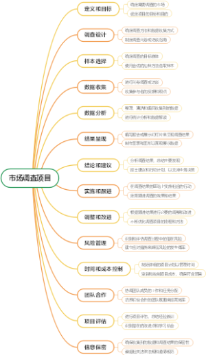 市场调查项目