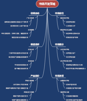 市场开发策略