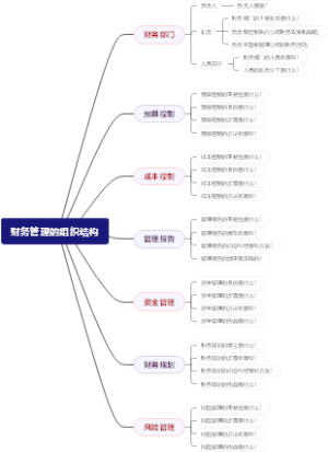 财务管理的组织结构