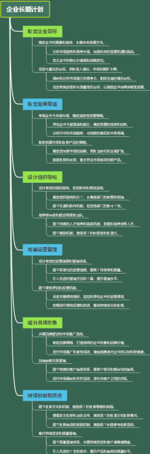企业长期计划