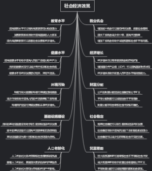 社会经济效果
