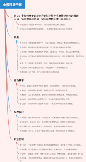 中级领导干部