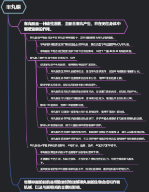 睾丸酮