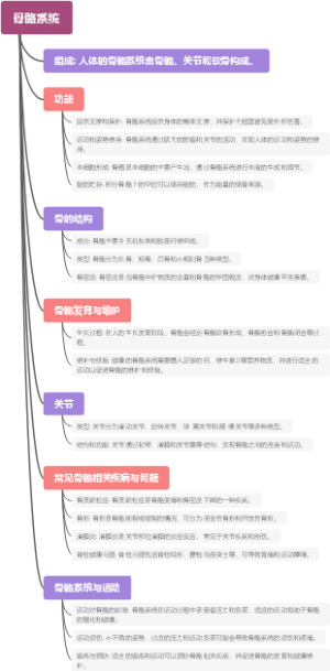 骨骼系统