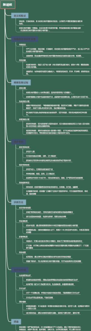 肺结核
