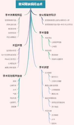 室间隔缺损闭合术