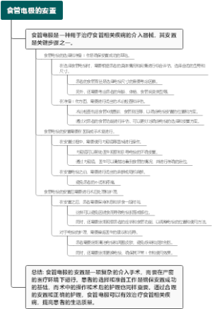 食管电极的安置