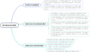 党内政治生活准则