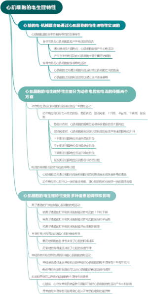 异位起源点内干扰