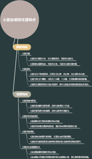 心脏的解剖生理特点