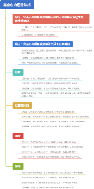 窦房交界区双径路