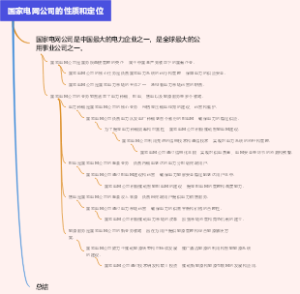国家电网公司的性质和定位