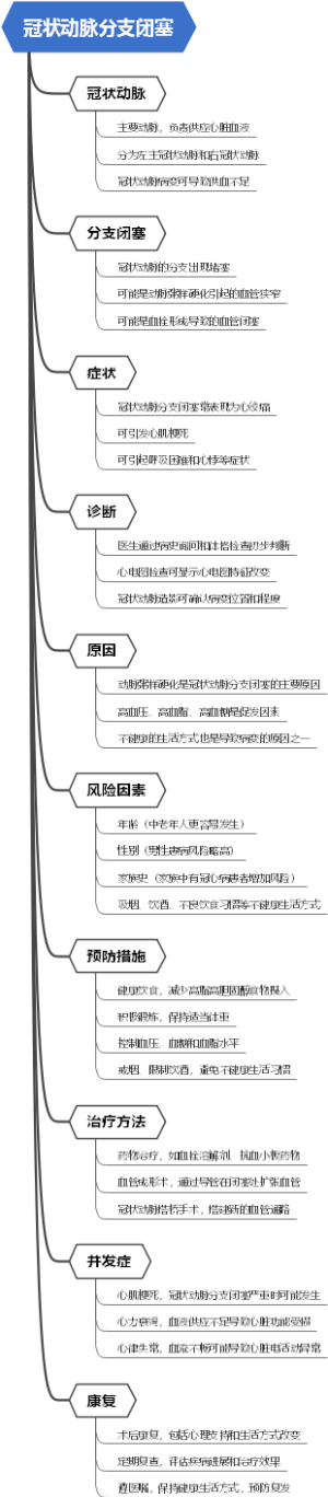 冠状动脉分支闭塞