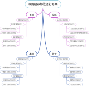 根据起源部位进行分类