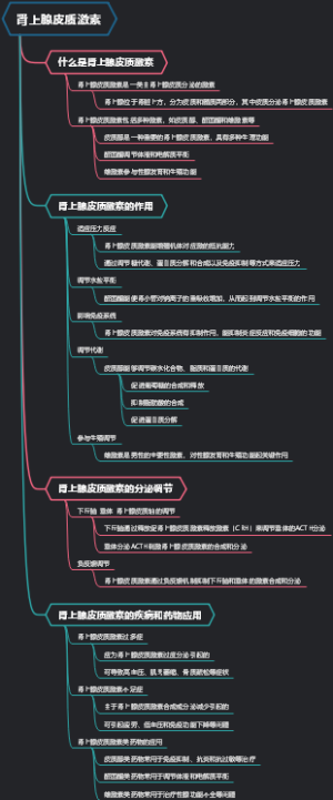 肾上腺皮质激素