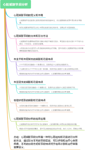 心脏解剖节段分析