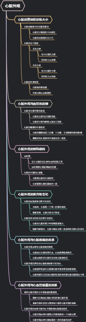 心脏外观