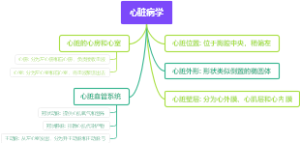 心脏病学