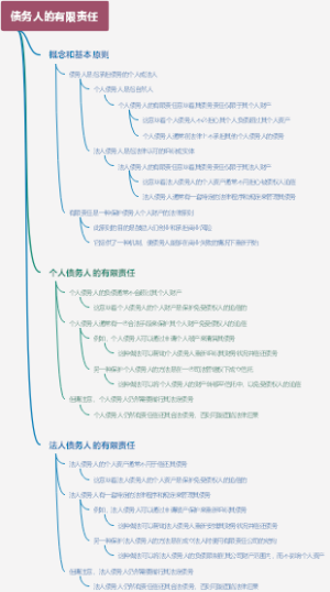 债务人的有限责任