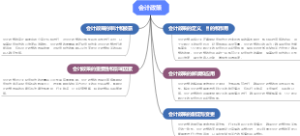会计政策