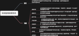 实时管理信息系统