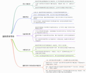 国际资本市场