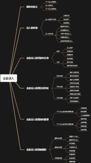 企业法人