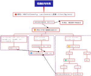 低血压与休克