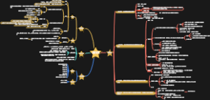 生化：蛋白质的结构和功能