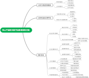 风口产品在抖音平台销售变现方案