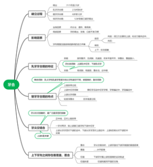 口腔医学-牙合思维导图