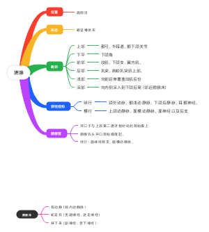 腮腺